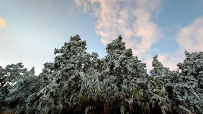 藍天 白雲 陽光 佐 霧凇 於 翠峰湖區7